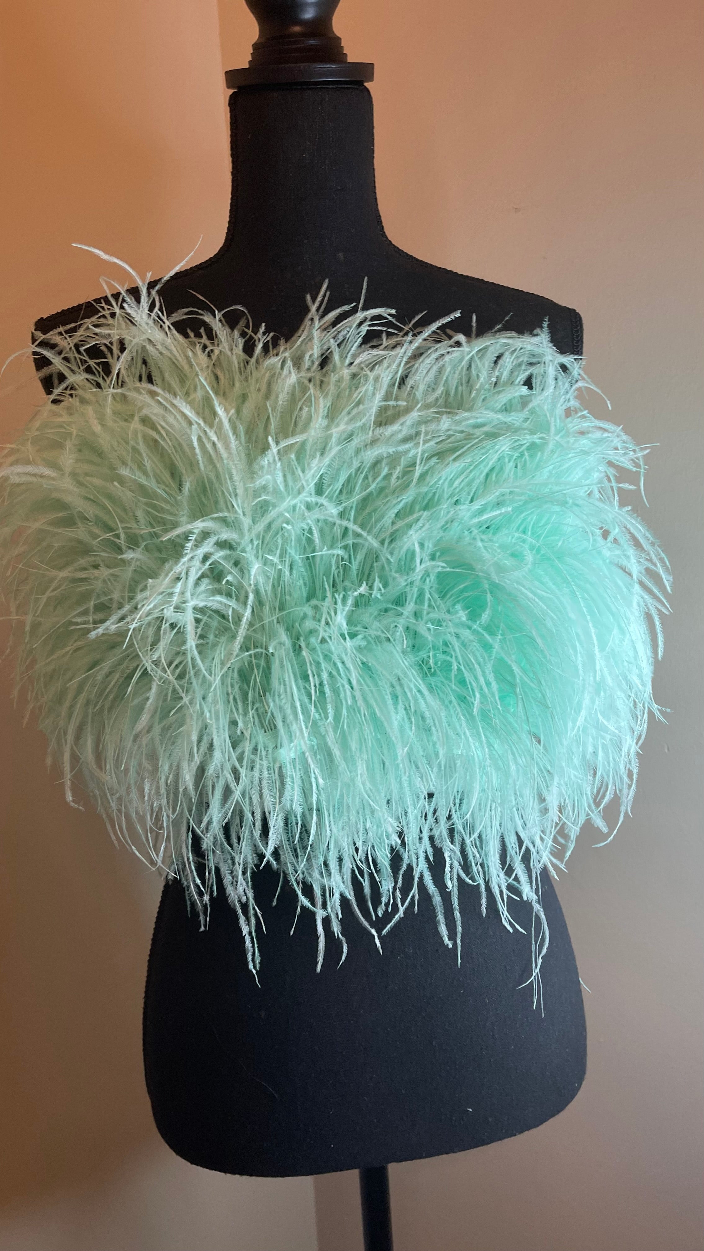 Mimi Ostrich Feather Crop Top